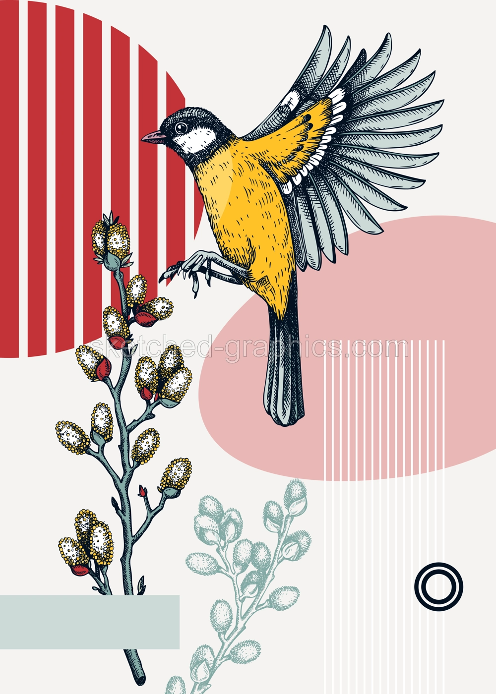 Collage-style bird card. Sketched great tit  trendy poster. Creative designs with bird sketch, botanical illustrations, geometric shapes, and abstract elements for nature print, wall art, packaging.  Illustration